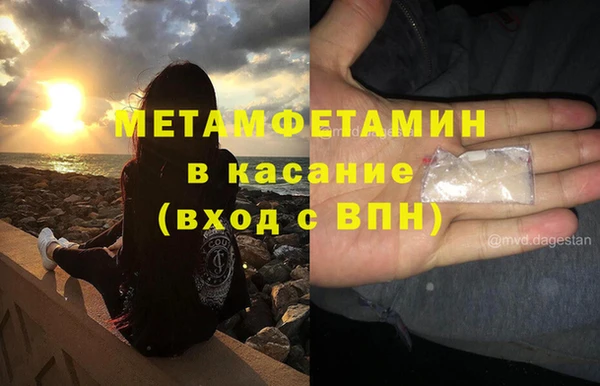 ГАЛЛЮЦИНОГЕННЫЕ ГРИБЫ Богданович